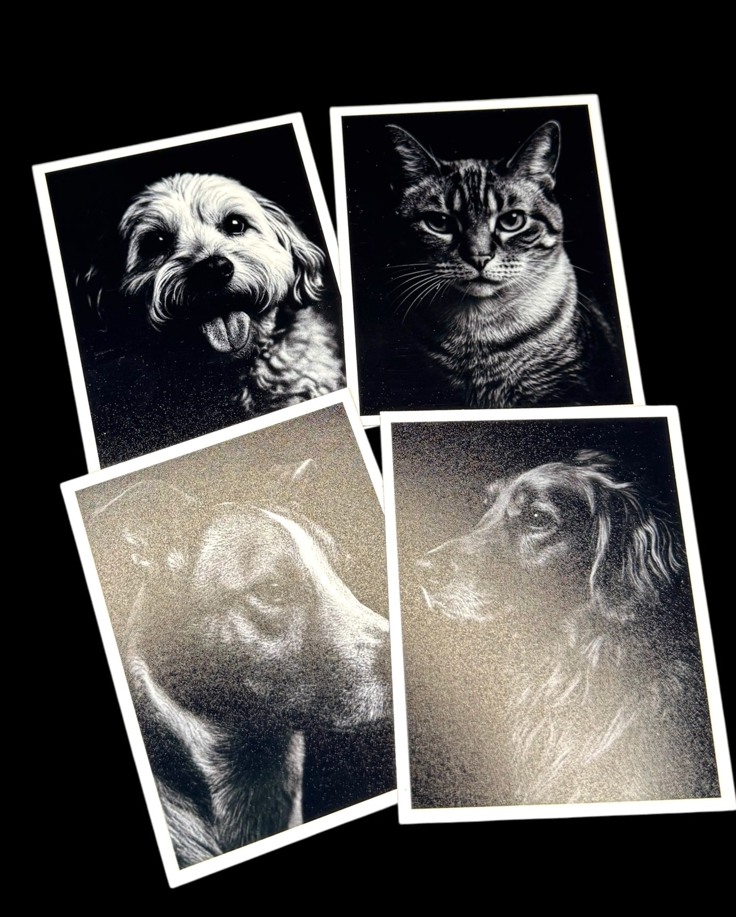 Custom Photo Magnets
