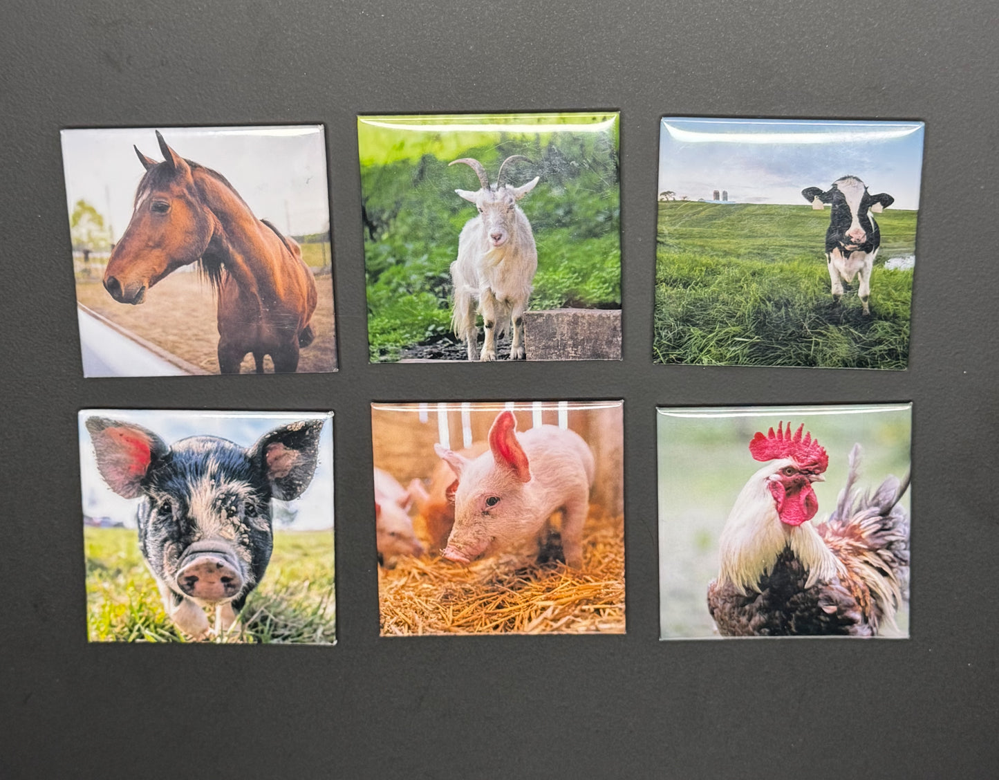 2" x 2" Custom Photo Magnet