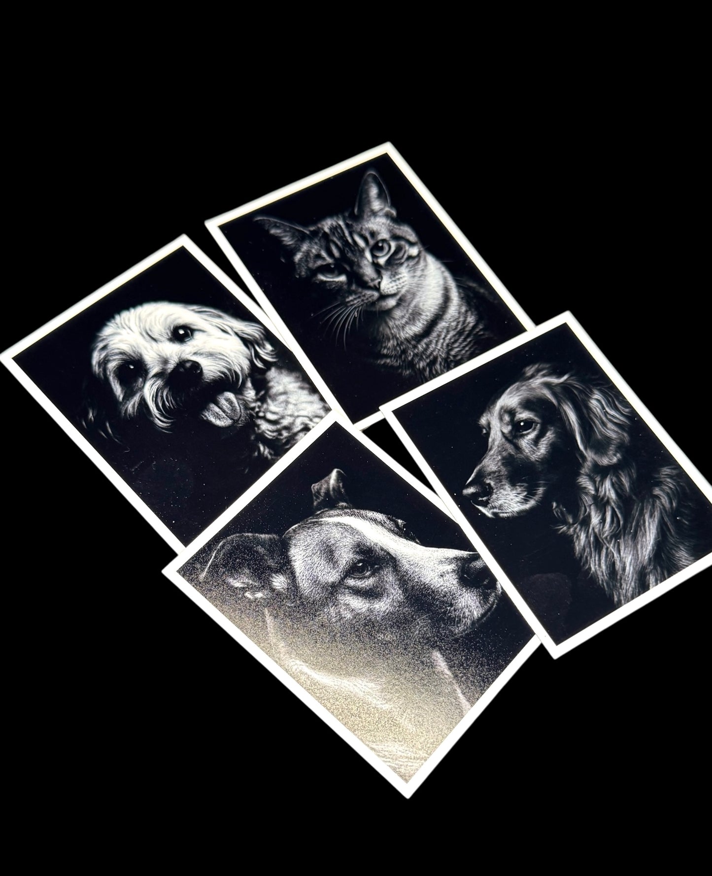 Custom Photo Magnets